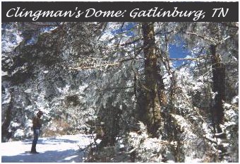 Clingman's Dome
